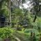 Vegan Nature Resort