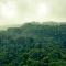 Ruhija Gorilla Guest House