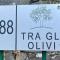 Tra gli olivi - Ponte a Moriano