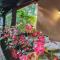 Apartmani Todorovic