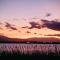 Camping siblu vue sur Canigou