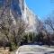 Yosemite Mountain Retreat
