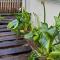 Two on Milner - ARUM COTTAGE - Stylish open-plan Guesthouse in Rondebosch