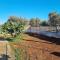 Villa M&P - Il Trullo -