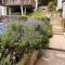 Blumen Hotel