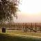 Talits Estate Vineyard