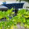 Hotel Plaza Cozumel