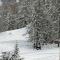 CŒUR DALTAÏR RISOUL 1850 Appartement T2 confortable skis aux pieds