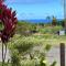Private Ohana on the lush Hamakua coast with AC