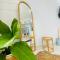 NẮNG Homestel Tây Ninh