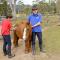 The Big Bell Farm - Kangaroo Valley