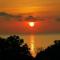 D View Holiday Homes