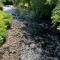 Pass the Keys Comfortable 2 Bed Riverside Chalet near Snowdonia
