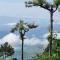 Camellia Heights 1&2 - Coonoor