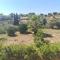 Appartement Alpes Maritimes