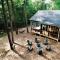 Modern, Forest Cottage minutes from downtown - Ellijay
