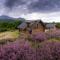 Wild Nurture Eco Luxury Offgrid Log Cabin - Fort William
