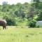 Simbavati Camp George - Klaserie Private Nature Reserve