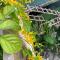 SEVEN HOMESTAY(HUE)