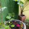 SEVEN HOMESTAY(HUE)