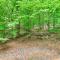 Less Than 1 Mi to Lake Wallenpaupack Poconos Cabin Rental