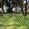 Lorato Camping