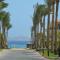 Ivy Cyrene Sharm Resort Adults Friendly Plus 13