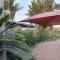 Tree Orchid - Polokwane