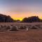 Wadi Rum Calma camp