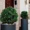 Bed and Breakfast Le Foglie