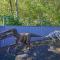 Dinosaur-Themed Retreat - Unique Family Adventure