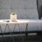 Modern Private 2 Bedroom Home-unit in Albany with Netflix