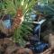 Wild Tree Lodge - Benoni