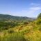 Cozy Home In Castiglion Fiorentino
