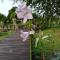 Las Rosas