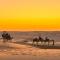 Desert Private Camps - Private Bedouin Tent