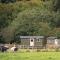 Shepherds Huts Tansy & Ethel in rural Sussex