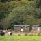 Shepherds Huts Tansy & Ethel in rural Sussex - Arundel