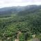 Kotibetta Homestay - Mountains View, River & Trek