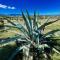 3 guests apt Spoleto Pool site - With infinity pool, extensive grounds - سبوليتو