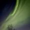 Appartment close to the city, ocean and mountains -Tromsø