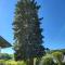 Ferienhaus Zangl am Seggauberg - Südsteiermark