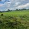 Pet Friendly Cottage Ashbourne with Parking
