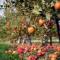 Fairfield Cottage -Top Rated Gem, Fire Pit, Near Beach, 90 Min to NYC
