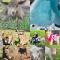 Sandalwood Downs Fabulous Farm Stay TOODYAY