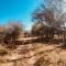 Vanross Bushveld Self Catering Accommodation - Maraheki