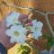 Myoli Wellness & Happiness BnB