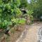 Rural House to take a Break, La Serreria 25 - Private garden