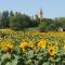 Le Mas de Doat, Gîte de Charme 4 étoiles dans le Triangle d Or proche Gaillac et Albi - Senouillac