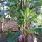 Cucuve Eco Hostal